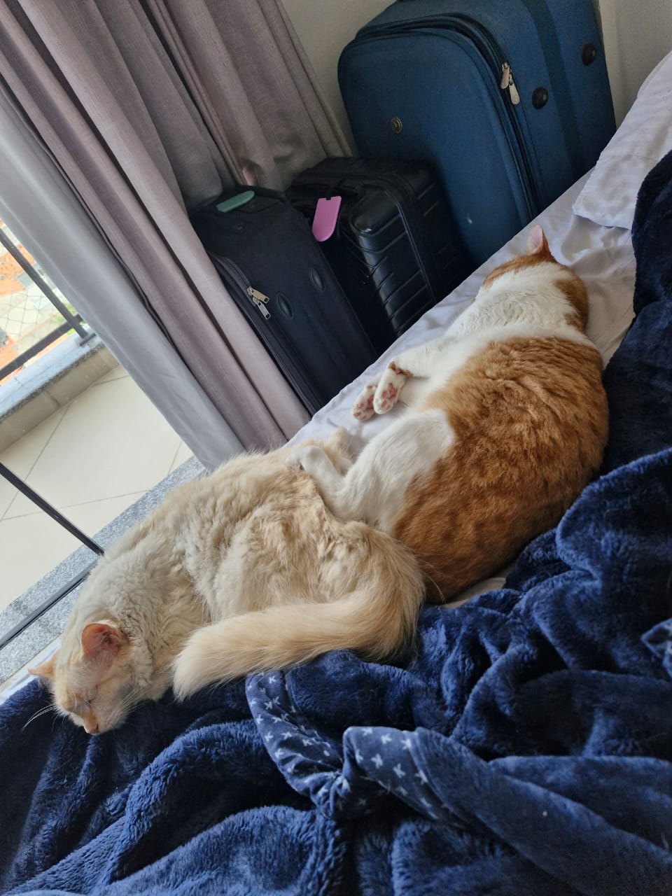 Toninho and Miguel together