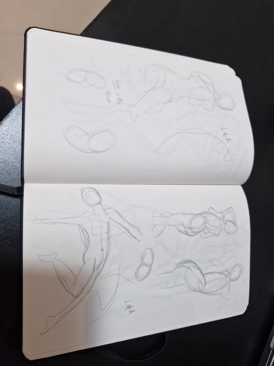 Gesture drawing done with pencil