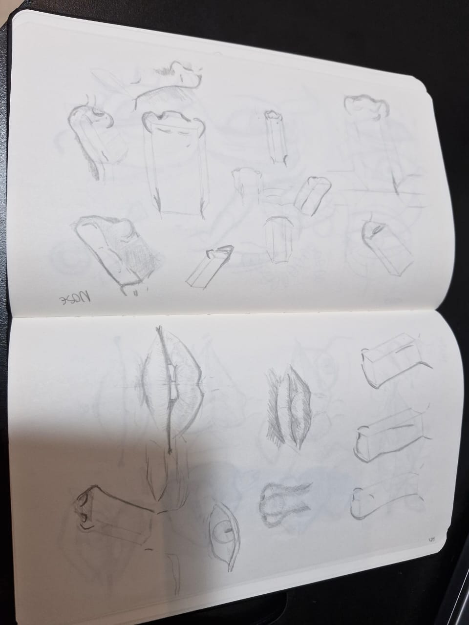 Noses drawing done with pencil